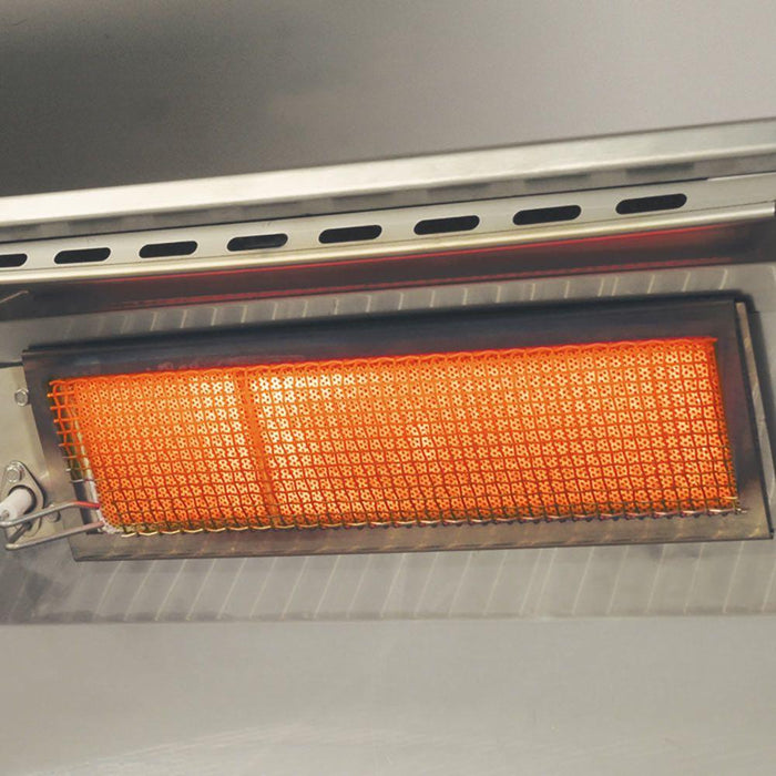 American Outdoor Grill L-Series 24-Inch Built-In Gas Grill (AOG-24NBL)