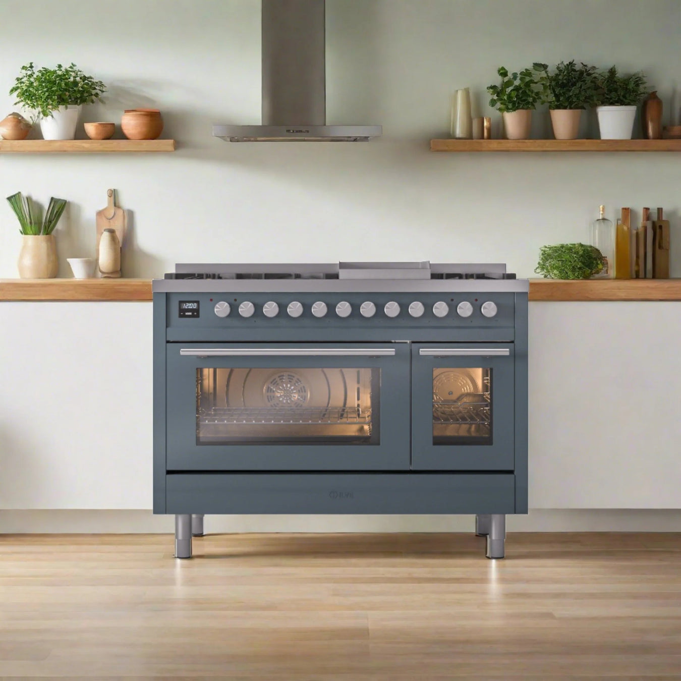 ILVE Professional Plus